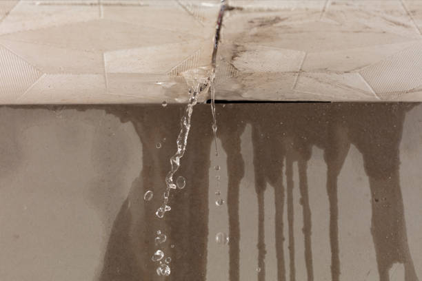 Professional Structural Drying technician working in Markham, TX